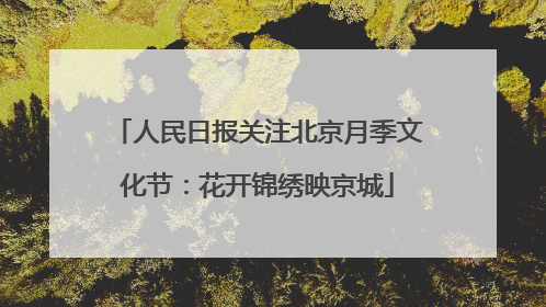 人民日报关注北京月季文化节：花开锦绣映京城