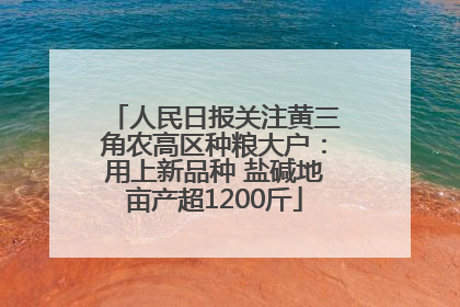 人民日报关注黄三角农高区种粮大户：用上新品种 盐碱地亩产超1200斤