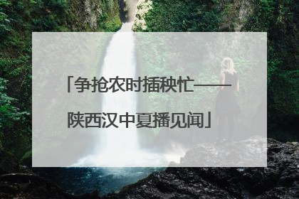 争抢农时插秧忙——陕西汉中夏播见闻