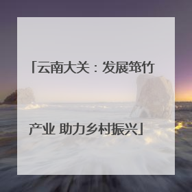 云南大关：发展筇竹产业 助力乡村振兴