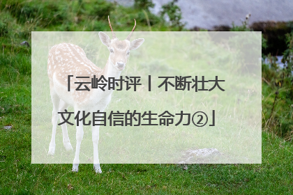 云岭时评丨不断壮大文化自信的生命力②