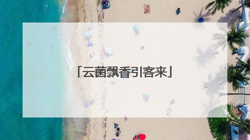 云菌飘香引客来