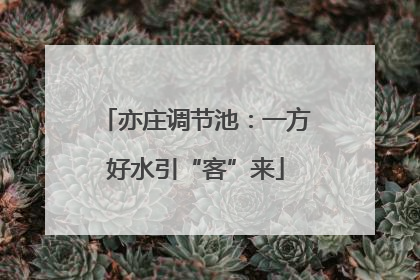 亦庄调节池：一方好水引“客”来