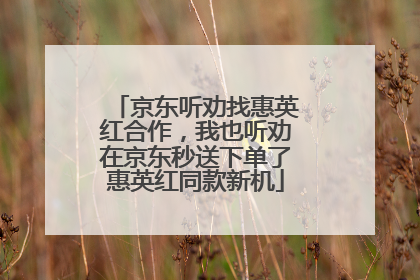 京东听劝找惠英红合作，我也听劝在京东秒送下单了惠英红同款新机