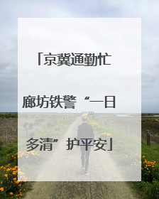 京冀通勤忙 廊坊铁警“一日多清”护平安