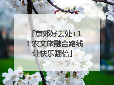 京郊好去处+1！农文旅融合路线让快乐翻倍