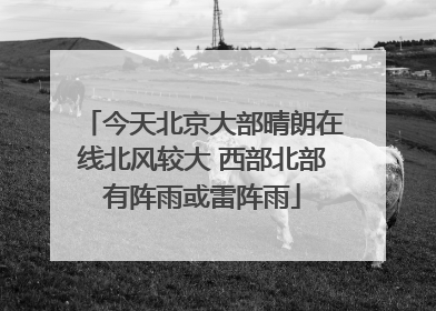 今天北京大部晴朗在线北风较大 西部北部有阵雨或雷阵雨