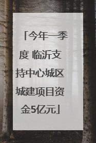 今年一季度 临沂支持中心城区城建项目资金5亿元