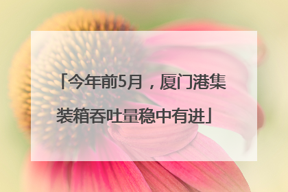 今年前5月，厦门港集装箱吞吐量稳中有进