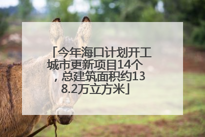 今年海口计划开工城市更新项目14个，总建筑面积约138.2万立方米