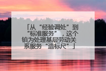 从“经验调处”到“标准服务”，这个镇为处理基层劳动关系服务“造标尺”