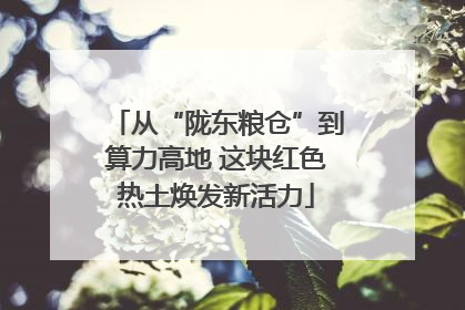 从“陇东粮仓”到算力高地 这块红色热土焕发新活力
