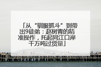 从“驯服抓斗”到带出9徒弟：赵树青的精准操作，托起同江口岸千万吨过货量