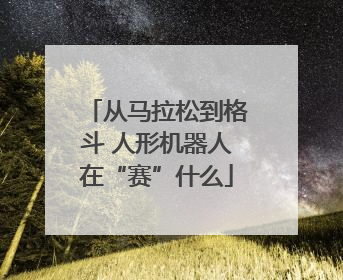 从马拉松到格斗 人形机器人在“赛”什么