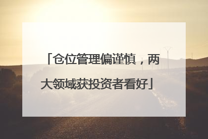 仓位管理偏谨慎，两大领域获投资者看好