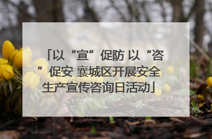以“宣”促防 以“咨”促安 襄城区开展安全生产宣传咨询日活动