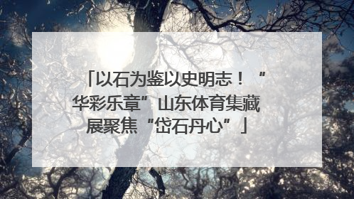 以石为鉴以史明志！“华彩乐章”山东体育集藏展聚焦“岱石丹心”