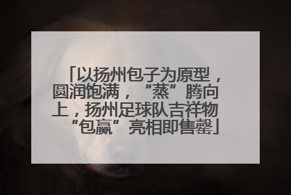 以扬州包子为原型，圆润饱满，“蒸”腾向上，扬州足球队吉祥物“包赢”亮相即售罄