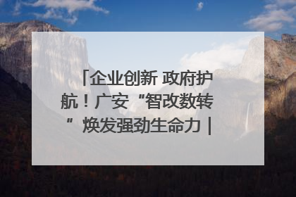 企业创新 政府护航！广安“智改数转”焕发强劲生命力｜市州焕新力