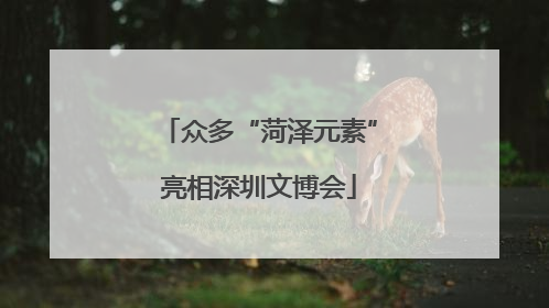 众多“菏泽元素”亮相深圳文博会