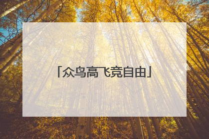 众鸟高飞竞自由