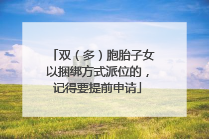双（多）胞胎子女以捆绑方式派位的，记得要提前申请