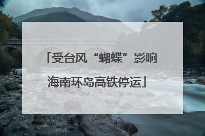受台风“蝴蝶”影响 海南环岛高铁停运