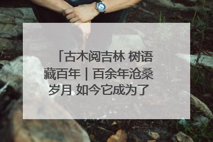 古木阅吉林 树语藏百年｜百余年沧桑岁月 如今它成为了“镇园之宝”