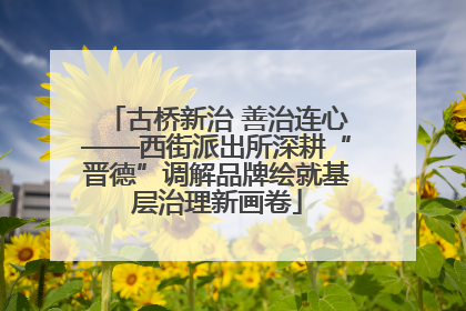 古桥新治 善治连心——西街派出所深耕“晋德”调解品牌绘就基层治理新画卷