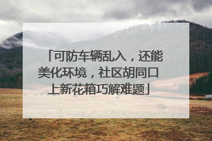 可防车辆乱入，还能美化环境，社区胡同口上新花箱巧解难题