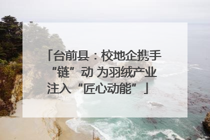 台前县：校地企携手“链”动 为羽绒产业注入“匠心动能”