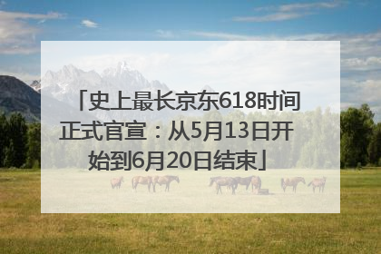 史上最长京东618时间正式官宣：从5月13日开始到6月20日结束