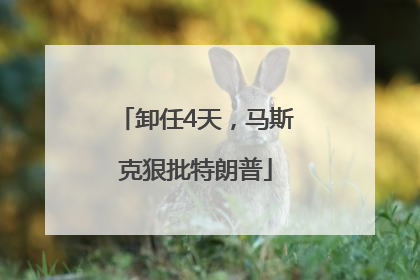 卸任4天，马斯克狠批特朗普