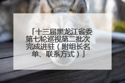 十三届黑龙江省委第七轮巡视第二批次完成进驻（附组长名单、联系方式）