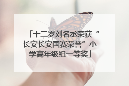十二岁刘名丞荣获“长安长安国赛荣誉”小学高年级组一等奖