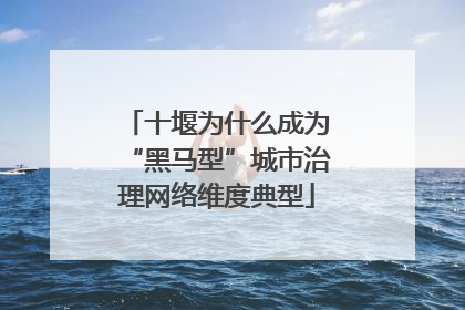 十堰为什么成为“黑马型”城市治理网络维度典型