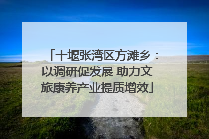 十堰张湾区方滩乡：以调研促发展 助力文旅康养产业提质增效