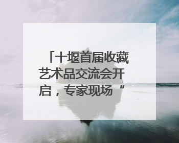 十堰首届收藏艺术品交流会开启，专家现场“掌眼”