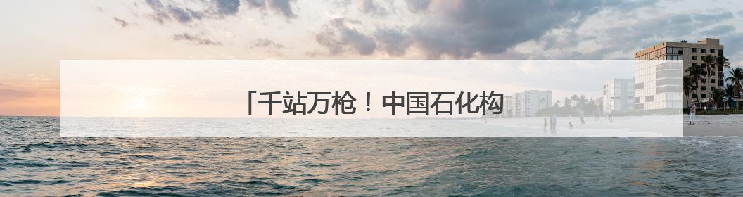 千站万枪！中国石化构建湖北绿色出行新格局