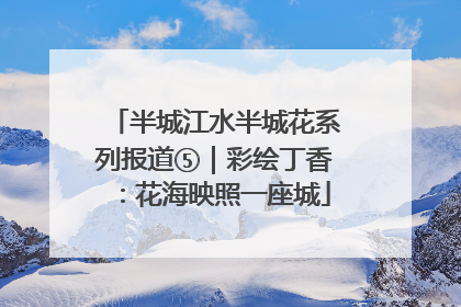 半城江水半城花系列报道⑤｜彩绘丁香：花海映照一座城