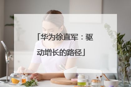 华为徐直军：驱动增长的路径