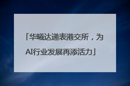 华曦达递表港交所，为AI行业发展再添活力