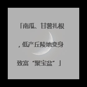 南瓜、甘薯扎根，低产丘陵地变身致富“聚宝盆”