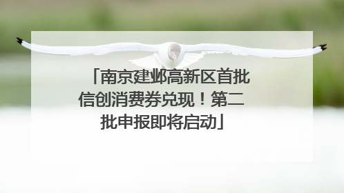 南京建邺高新区首批信创消费券兑现！第二批申报即将启动