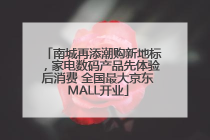 南城再添潮购新地标，家电数码产品先体验后消费 全国最大京东MALL开业