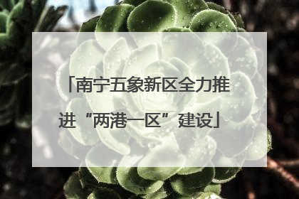 南宁五象新区全力推进“两港一区”建设