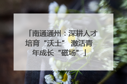 南通通州：深耕人才培育“沃土” 激活青年成长“磁场”