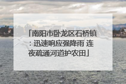 南阳市卧龙区石桥镇：迅速响应强降雨 连夜疏通河道护农田