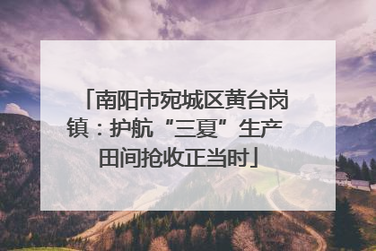 南阳市宛城区黄台岗镇：护航“三夏”生产 田间抢收正当时