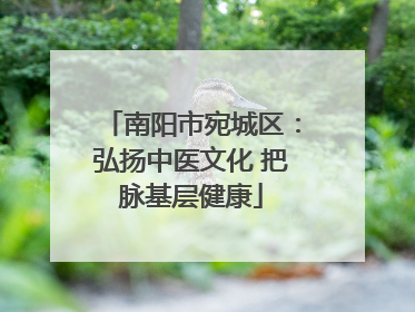 南阳市宛城区：弘扬中医文化 把脉基层健康